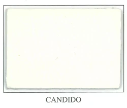 Discovery Collection - CANDIDO