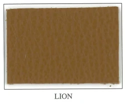 Discovery Collection - Lion