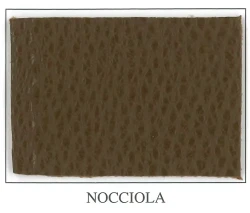 Discovery Collection - Nocciola