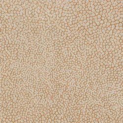 Galuchat Shagreen - Beige