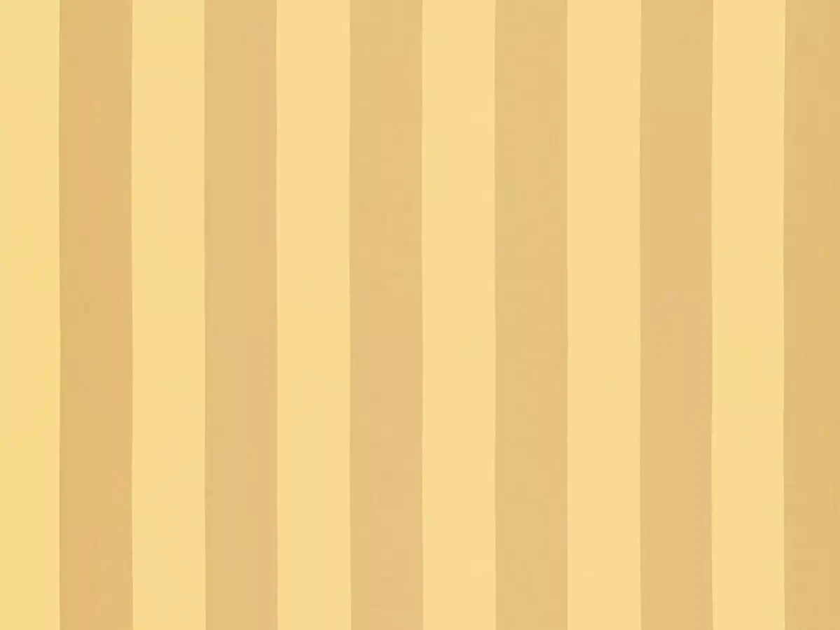 Solice Stripe | 10502.813