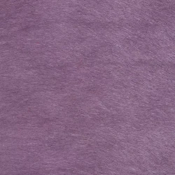 Vitellina Short - Violet