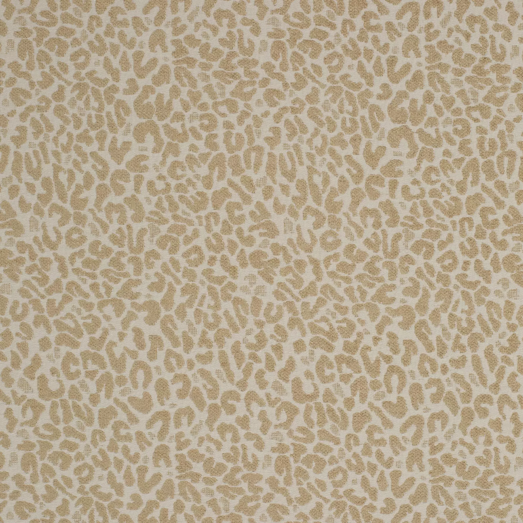 View Cheetah | JA2128/040 Cheetah | JA2128/040