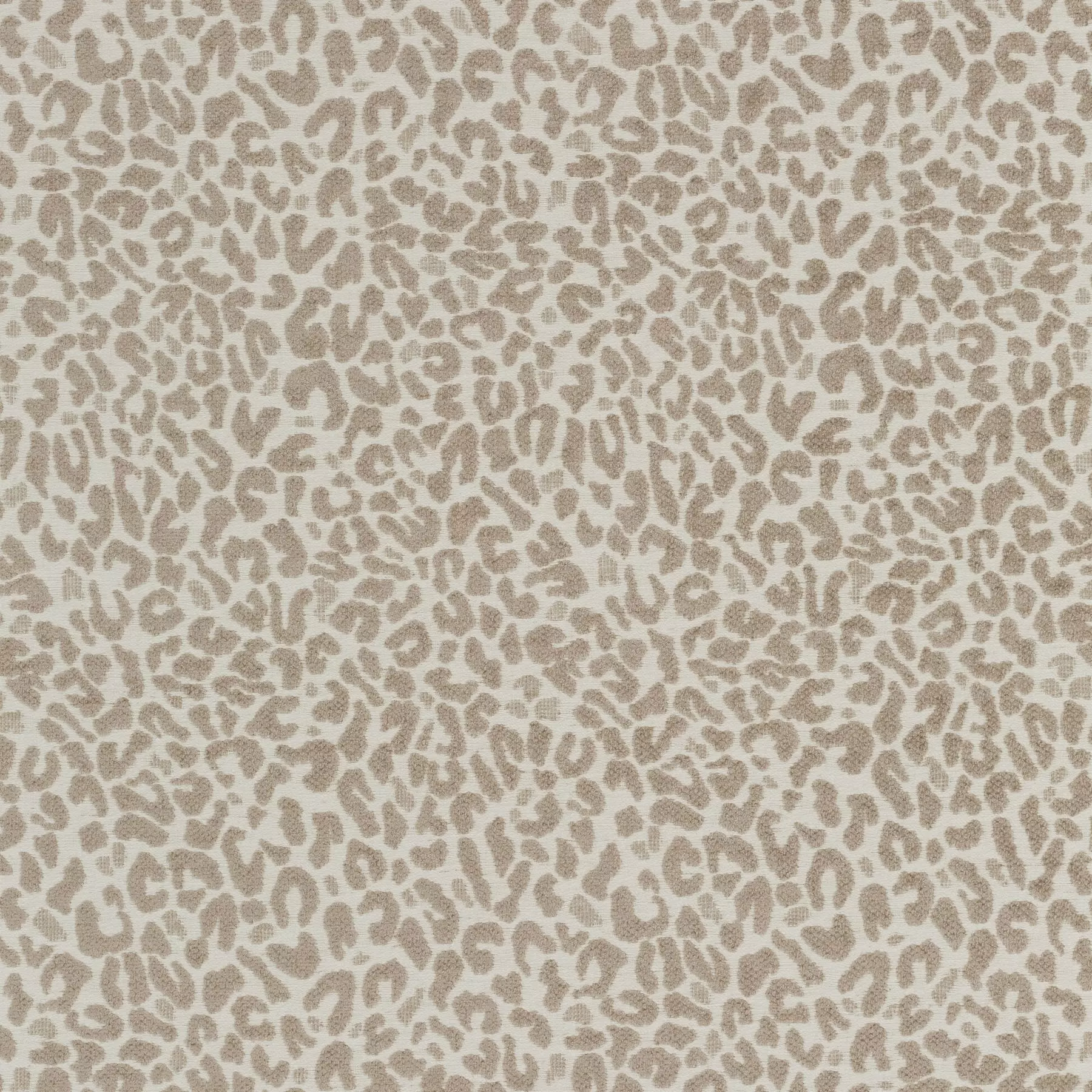 View Cheetah | JA2128/071 Cheetah | JA2128/071