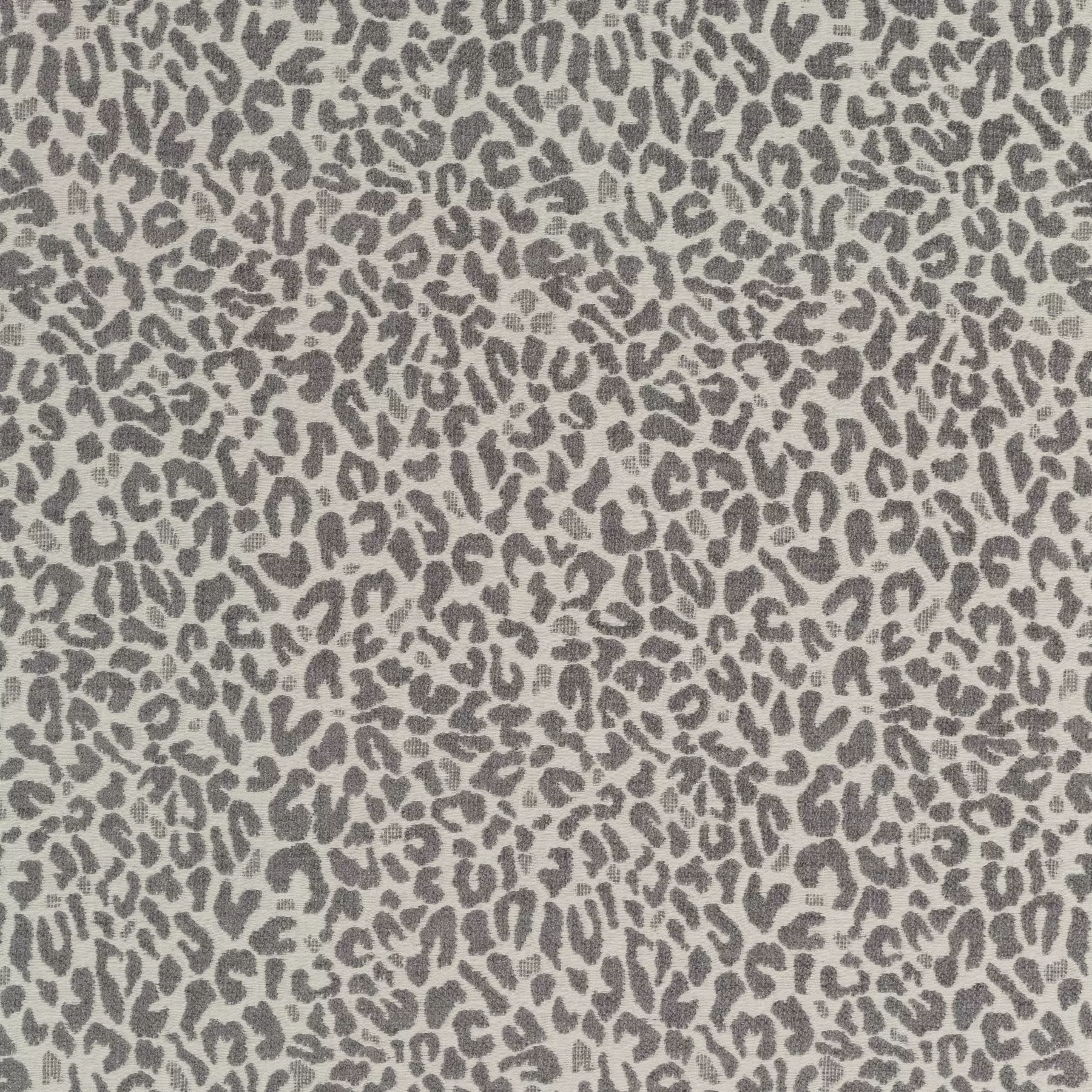 View Cheetah | JA2128/090 Cheetah | JA2128/090