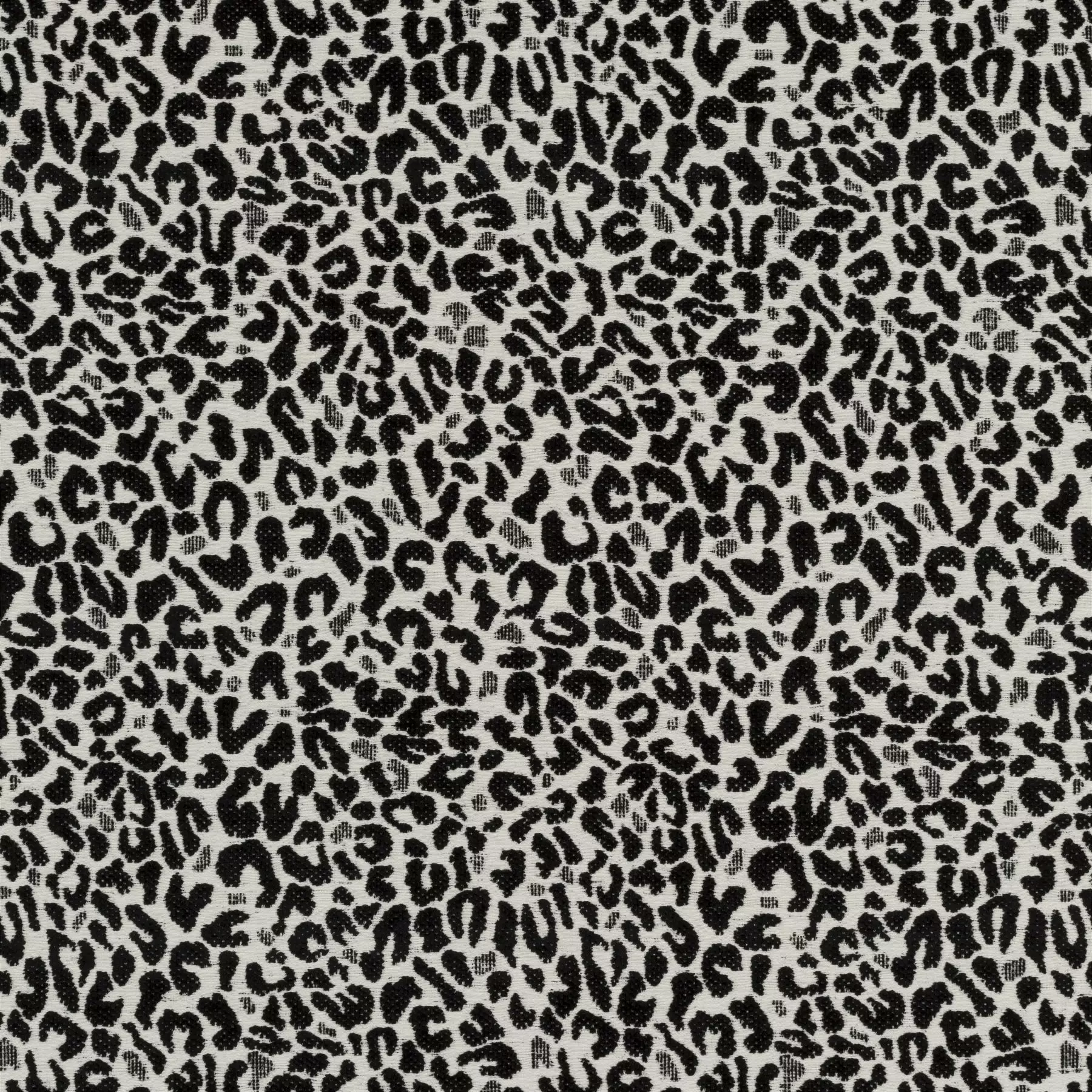 View Cheetah | JA2128/099 Cheetah | JA2128/099