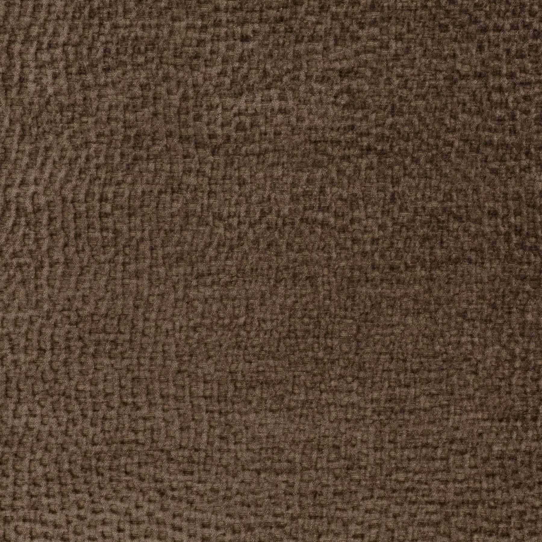 View Crocodile | JA1077/020 Crocodile | JA1077/020