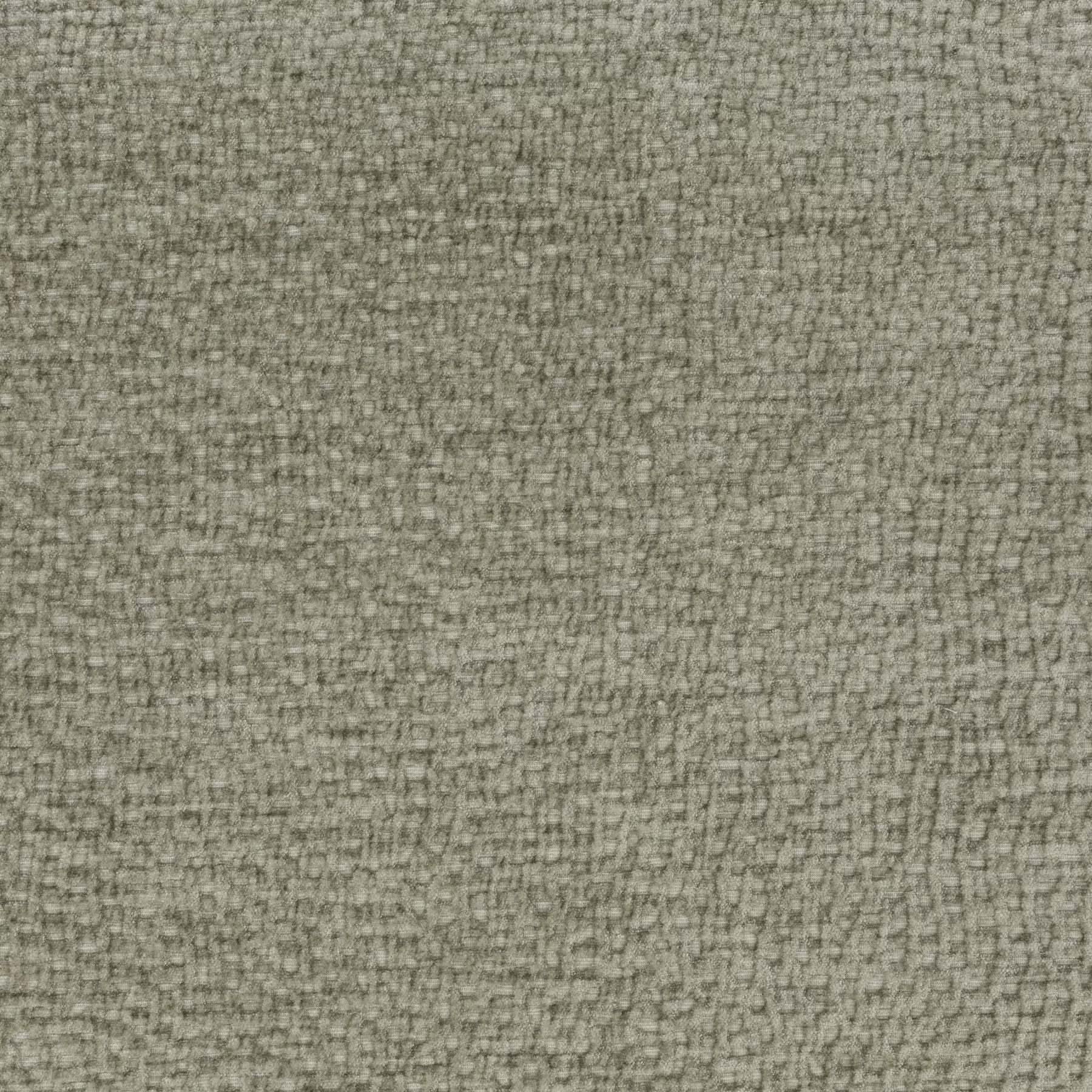 View Crocodile | JA1077/030 Crocodile | JA1077/030